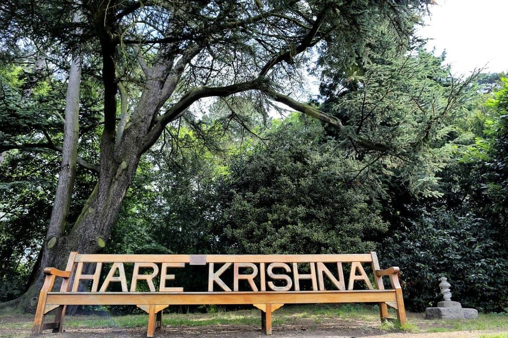 A shady walk, starting beside George’s Garden, circles round the back of the lake