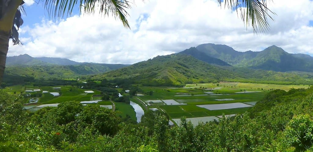 Hanalei overlook