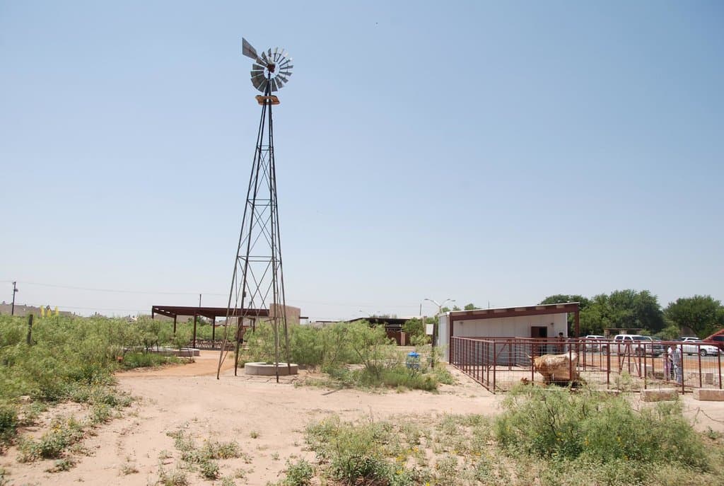 A beautiful day on the  Nature Center is fillSibley Nature Center Trails! Photo by Wallace Craig