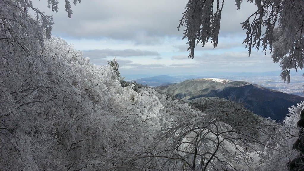 樹氷の向こうに葛城山