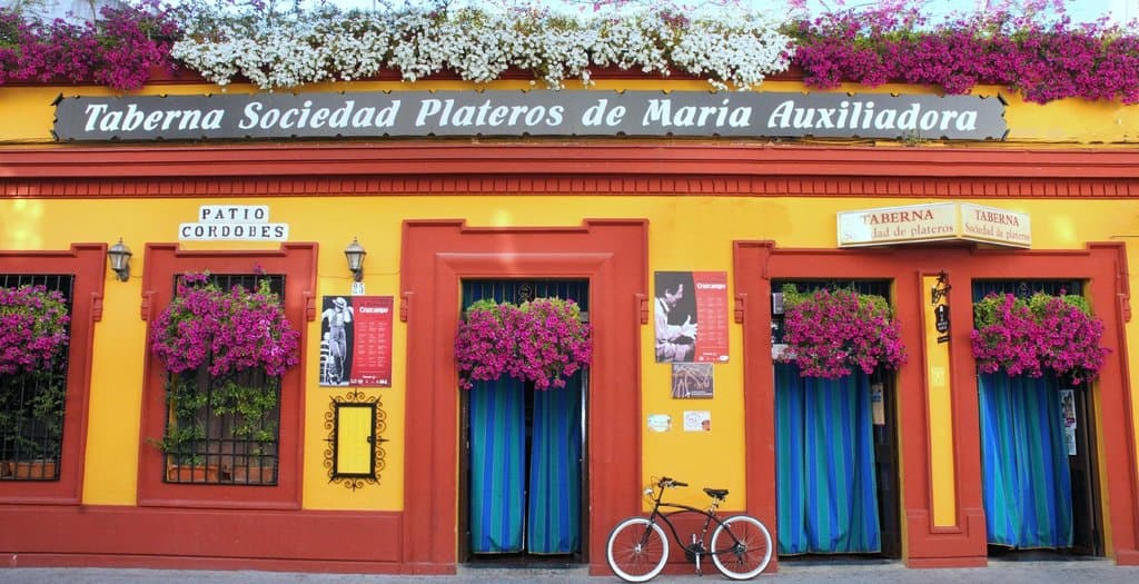 Las Flores de Mayo en Córdoba en la Fachada del Restaurante Sociedad Plateros