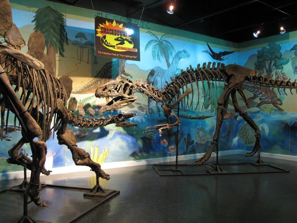 Indoors or out, always a hit!