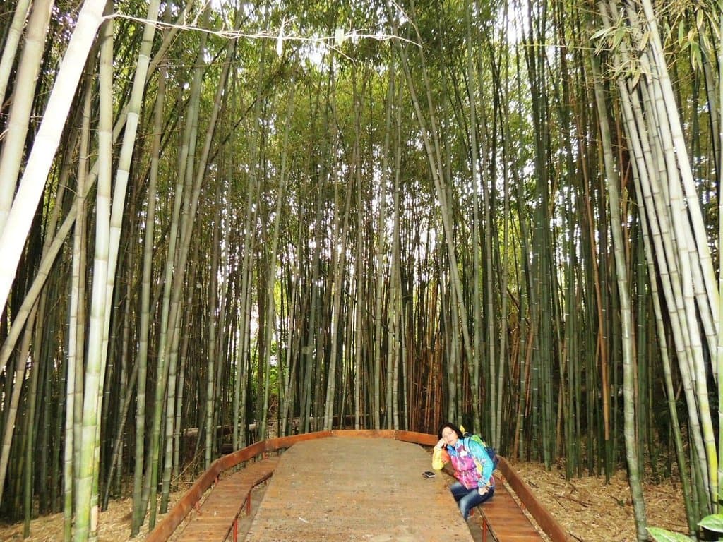 бамбуковоя беседка