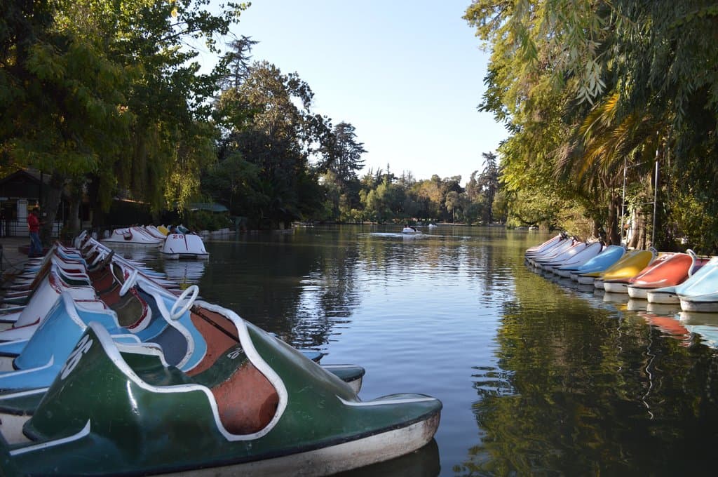 Laguna Parque O'Higgins coyunche