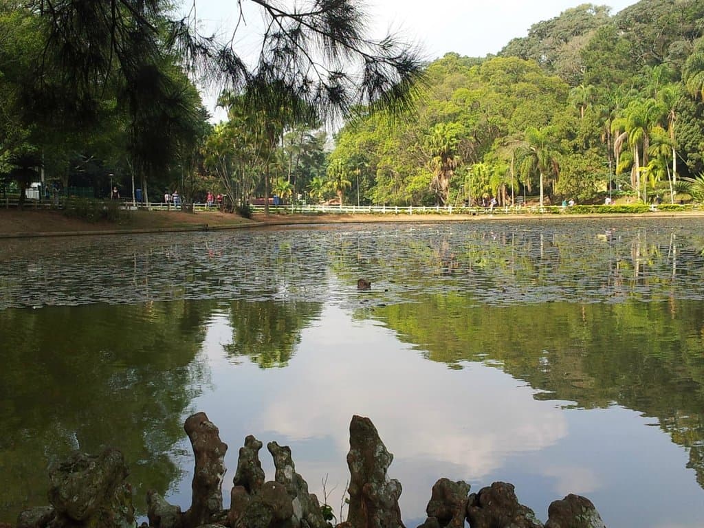 Lago