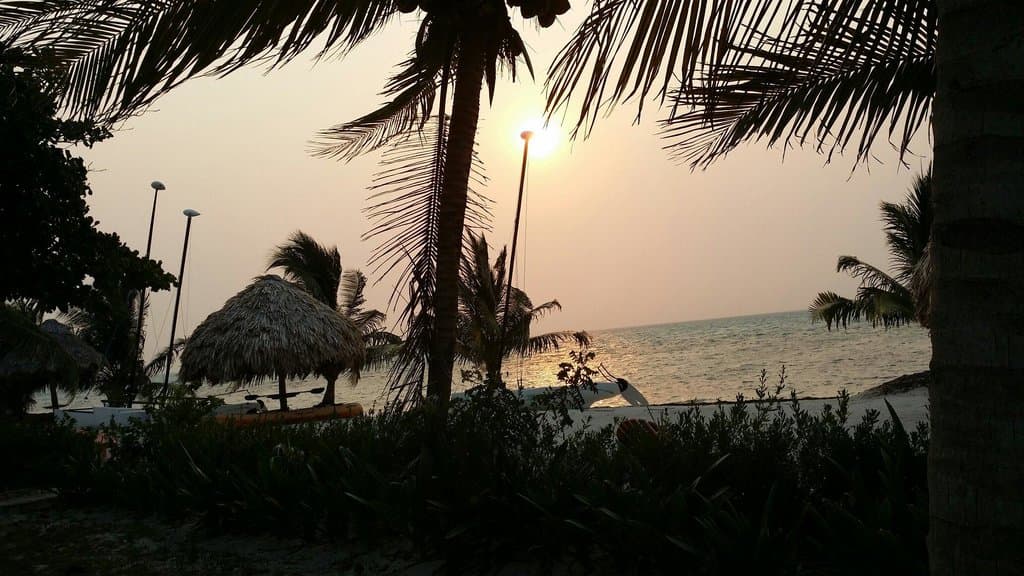 Sun rise. Just beautiful