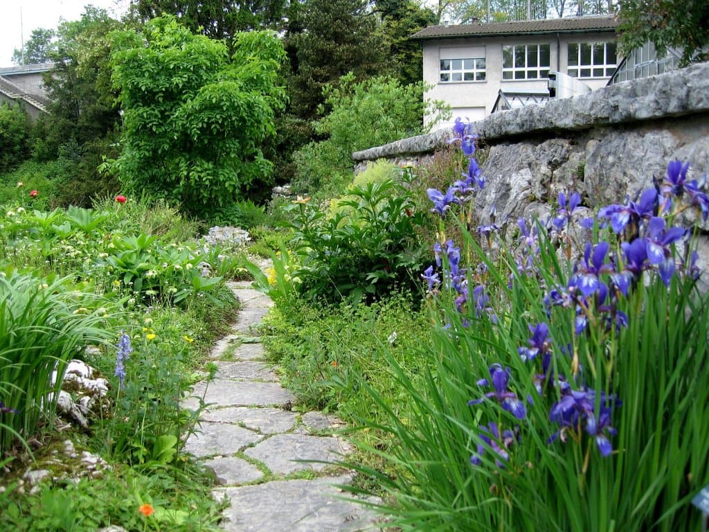 Walking path near the entrance