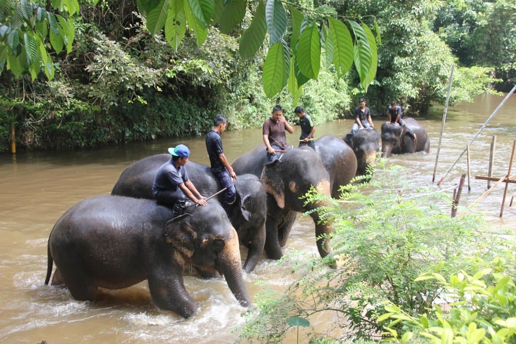 Bath's over-time to go.