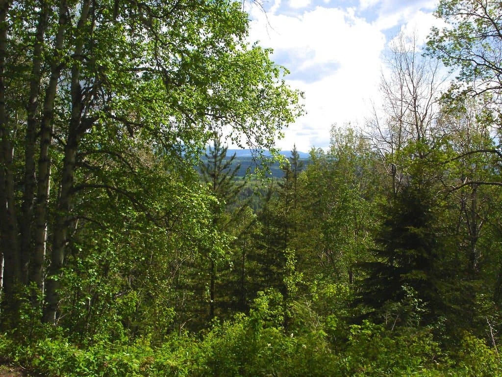 View from top at end of ski trail