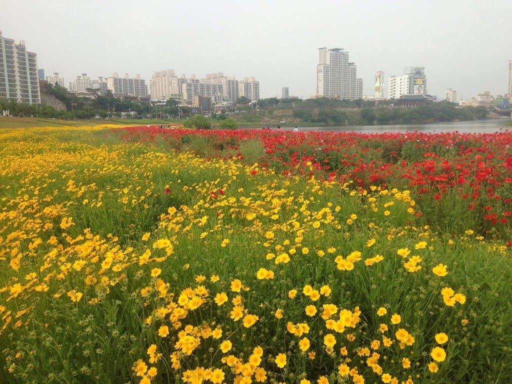 Taehwagang park