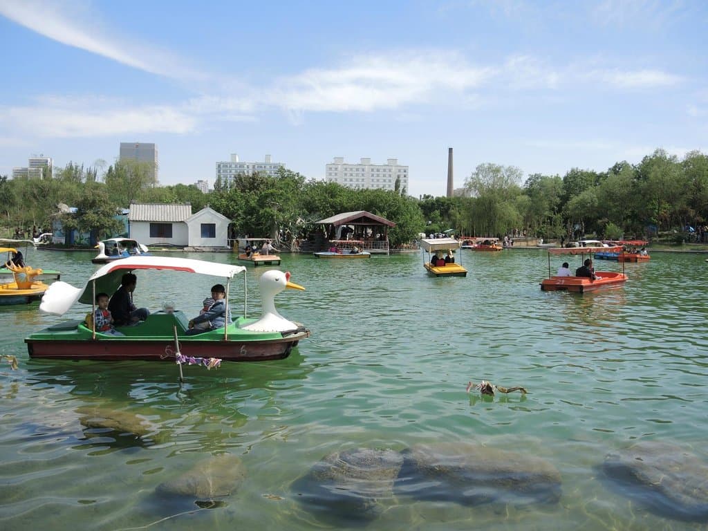 Водоем в саду.