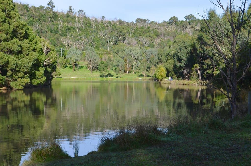 The main pondage area