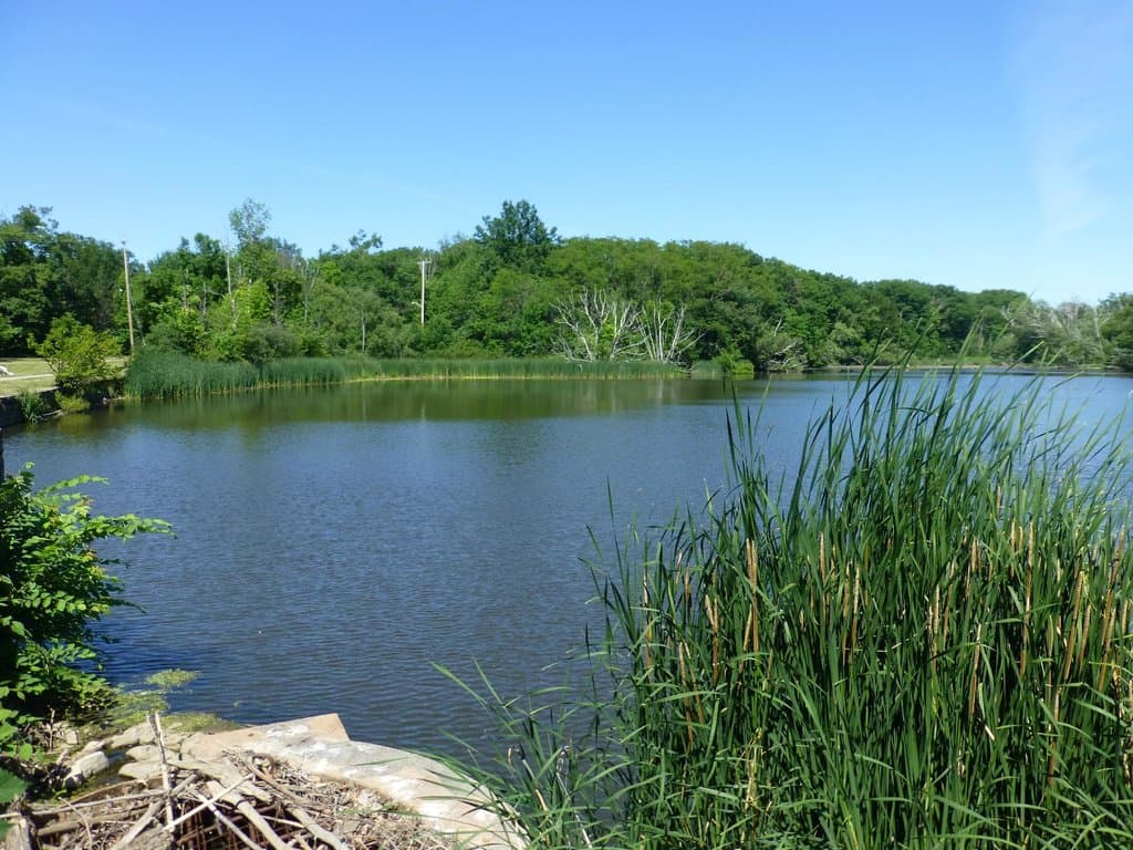 Nature Center Shaker Lake