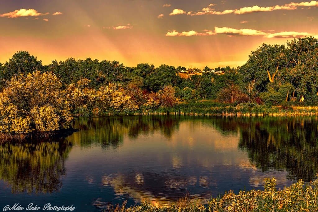 Overlook towards the main trial.