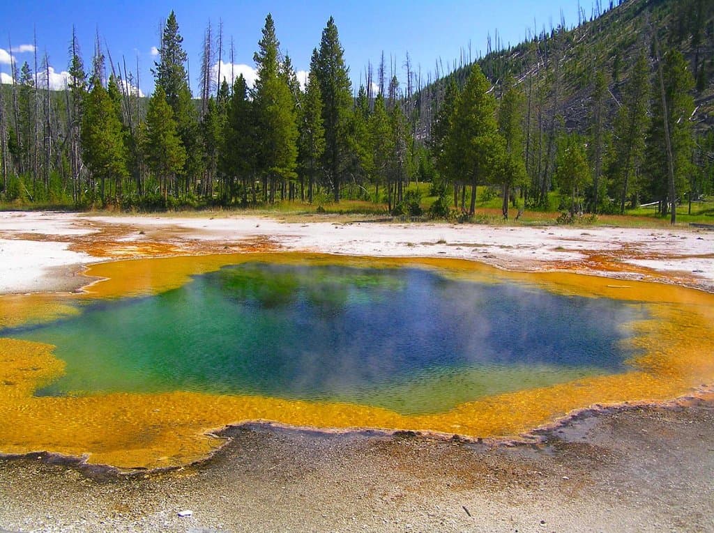 torquoise pool