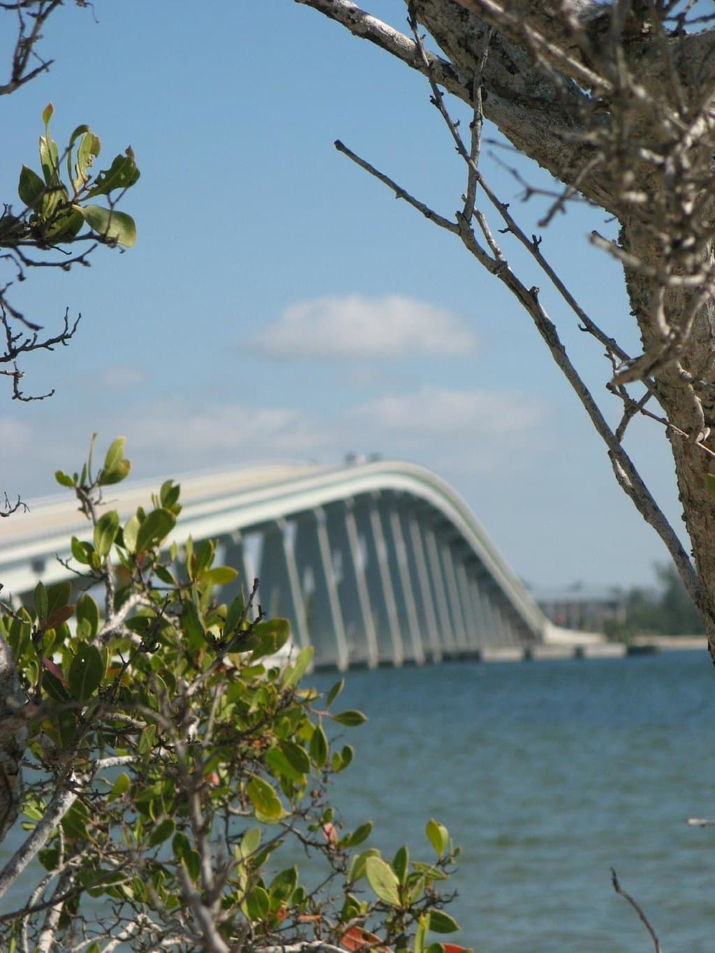 Ahh... Sunny Southwest Florida!