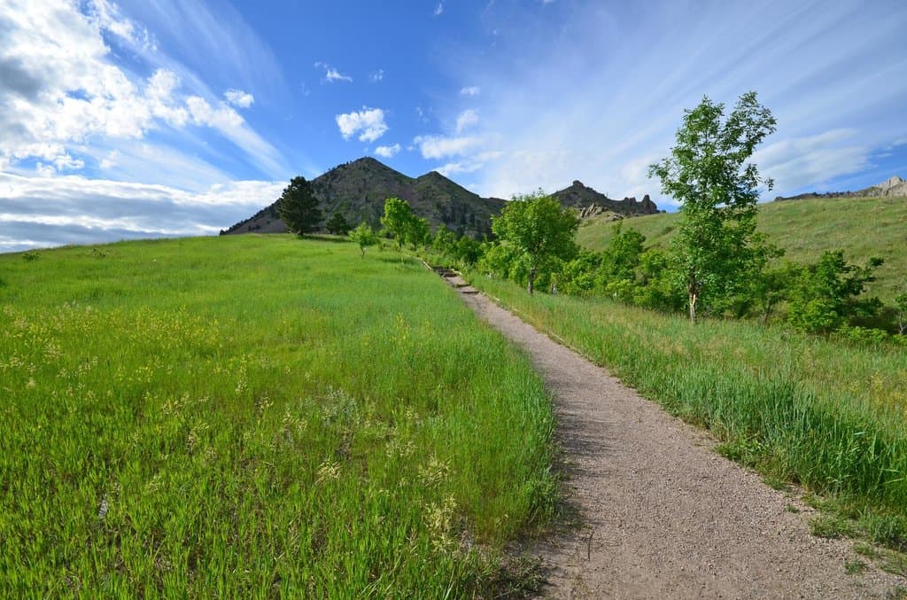 Trail to Bear Butte