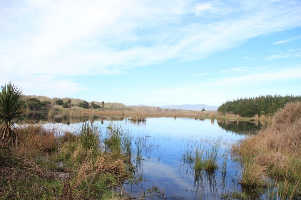 One of the lakes in the area