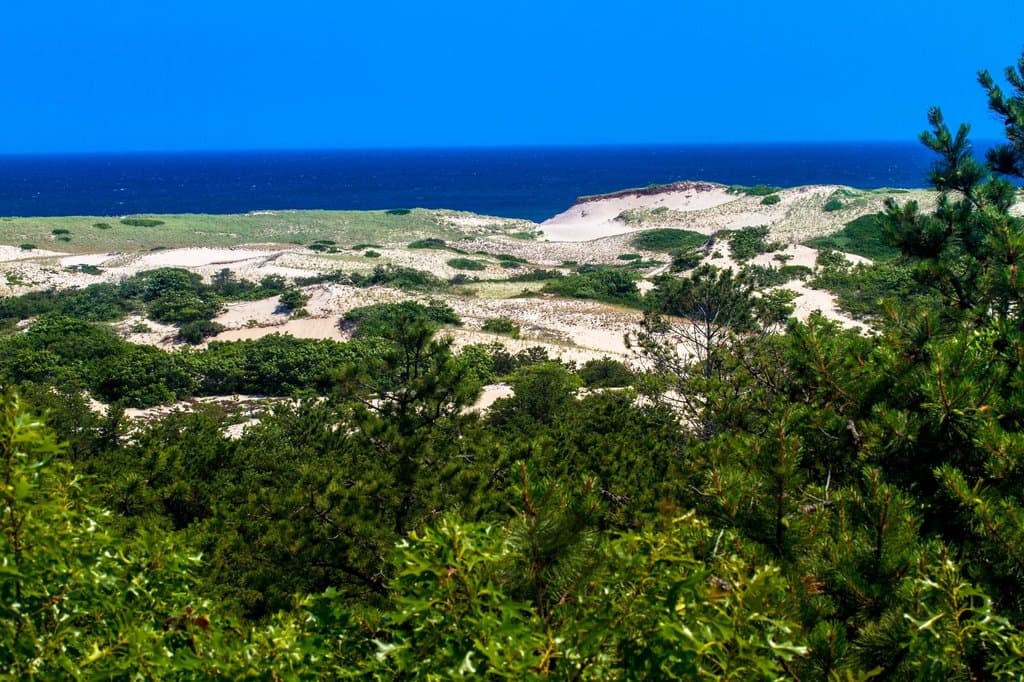 Spectacular views from the lookout platform.