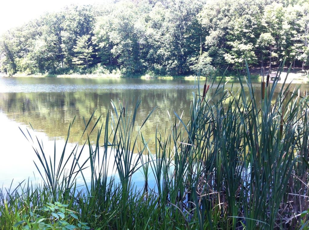 The smaller lakeside