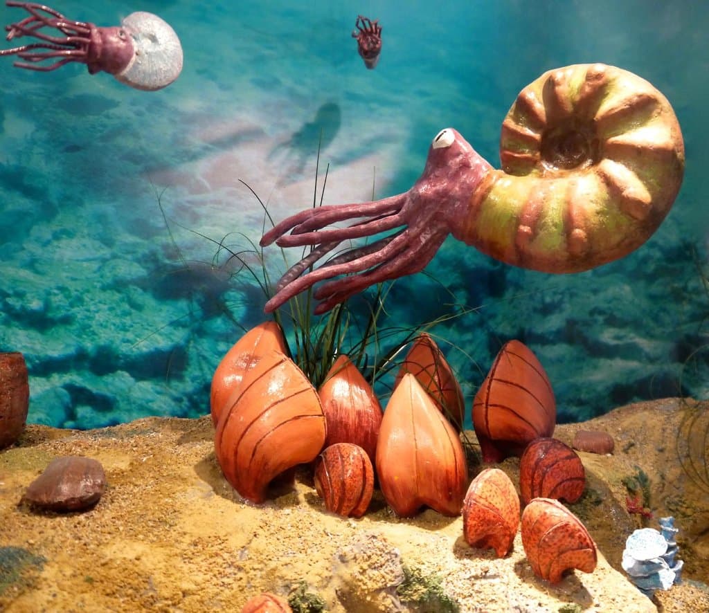 Dettaglio della barriera giurassica siciliana