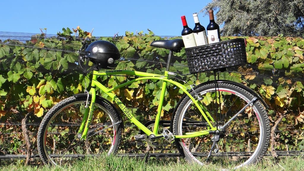 Martin's Biikes Andes Wine Tours