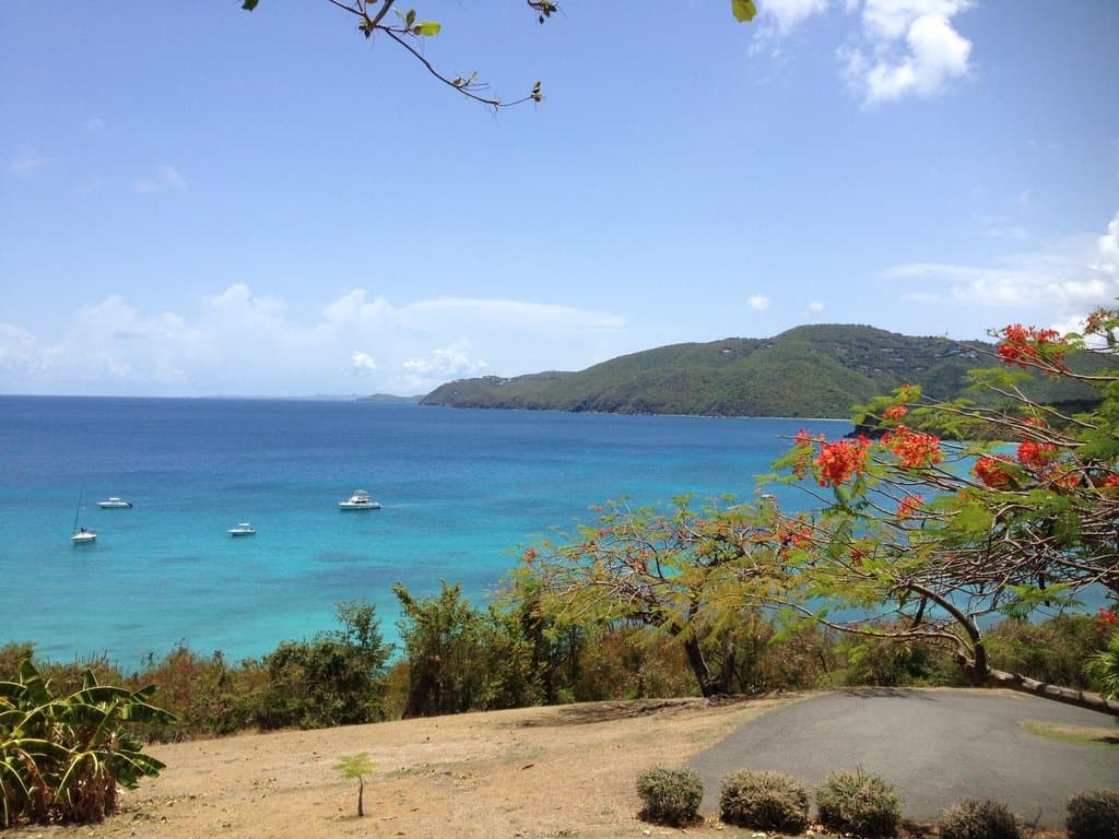 View of Brewer's Bay from UVI