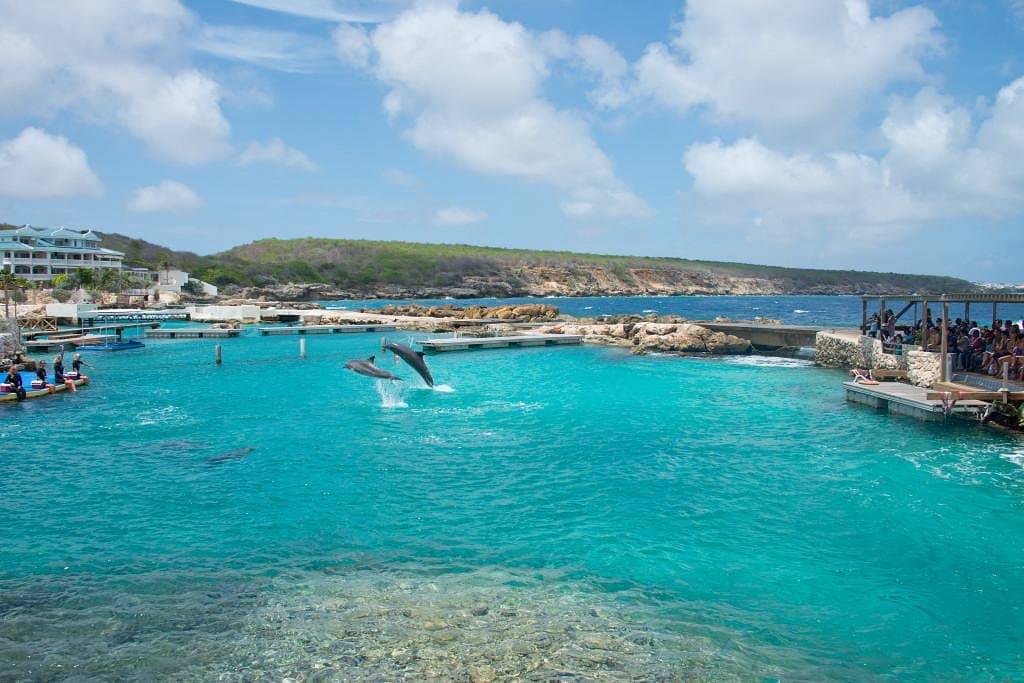 One of the dolphin lagoons.