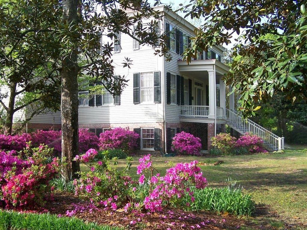 Azaleas Northwest Corner of Manor House