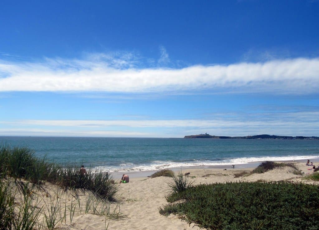 Roosevelt Beach State Park, Half Moon Bay, Ca
