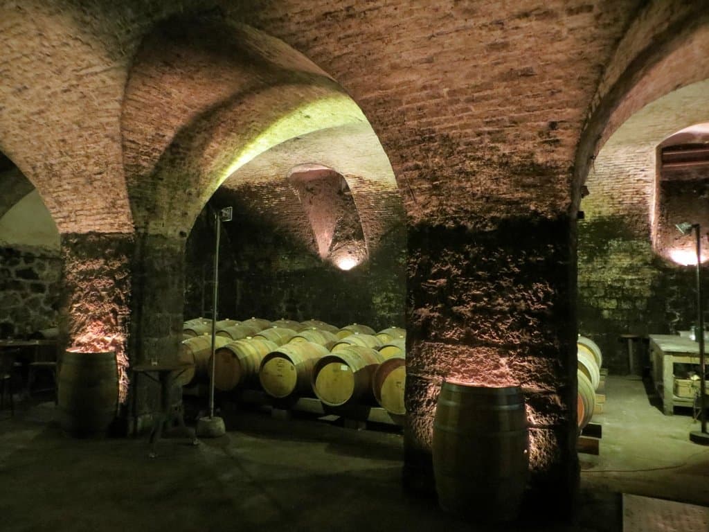 degustação vinícola Juanicó