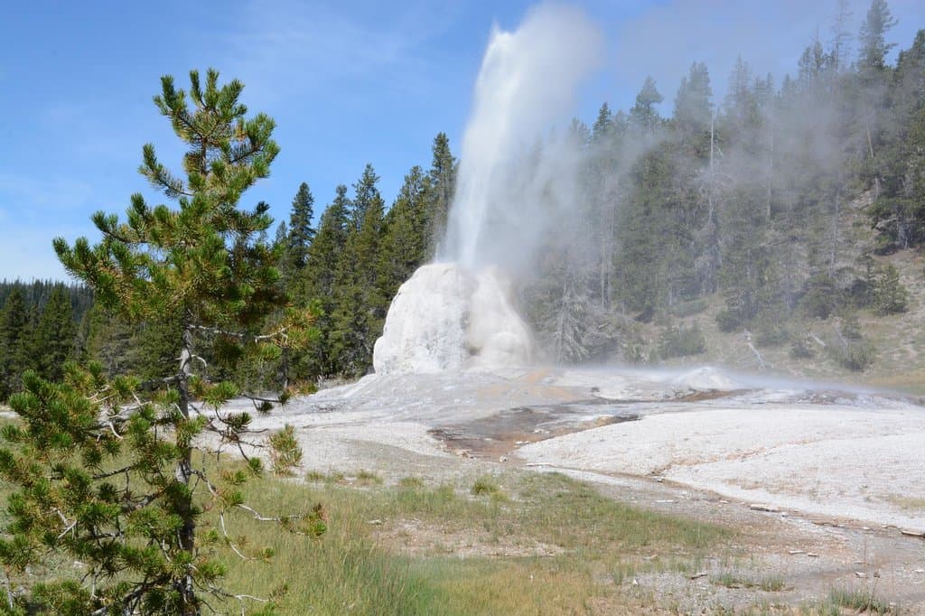 Lone Star Geyser Erupting
