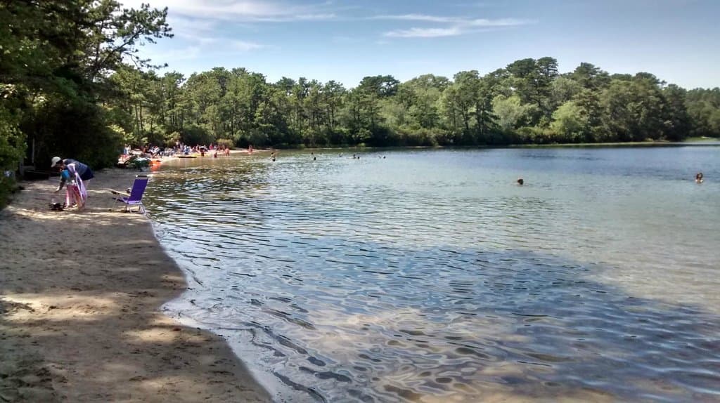 Un petit coin d'eau douce au milieu de Cape Cod