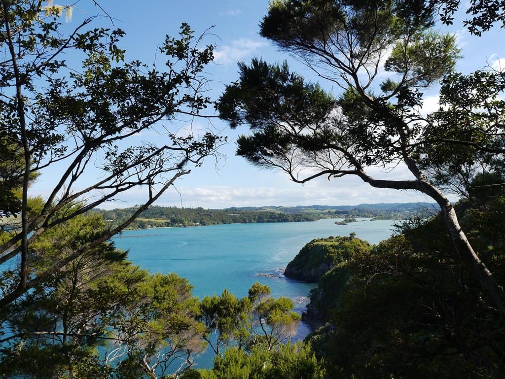 View at Akeake Point