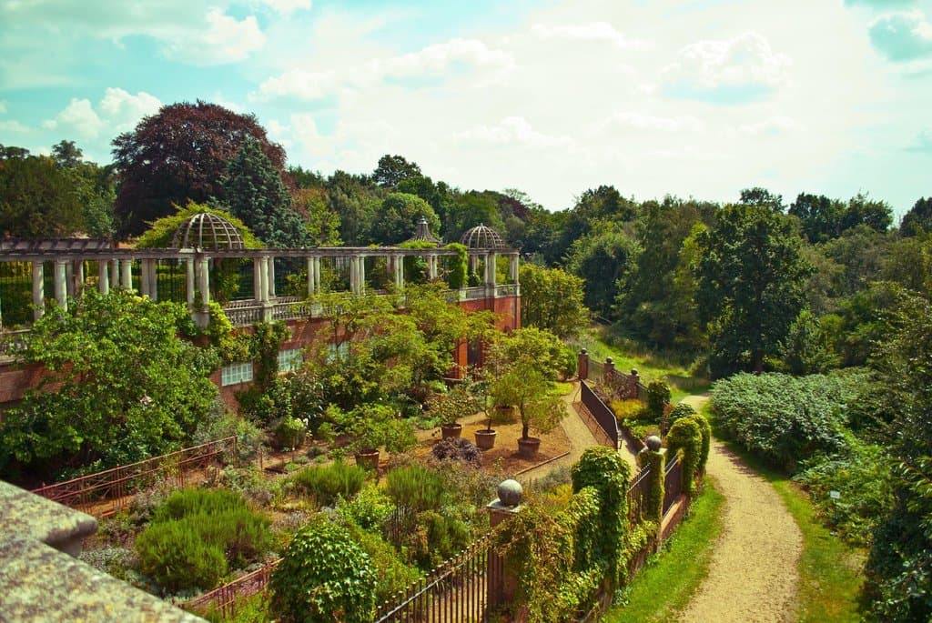 View out over the vegetable gardens