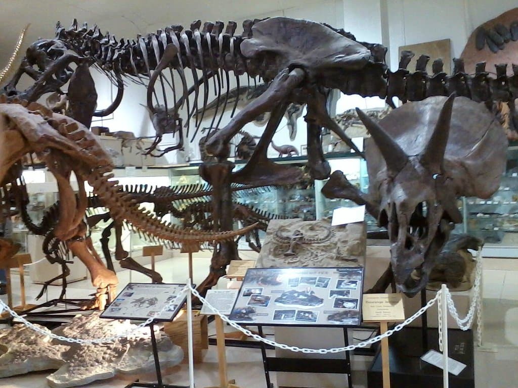 T-rex and his buddies