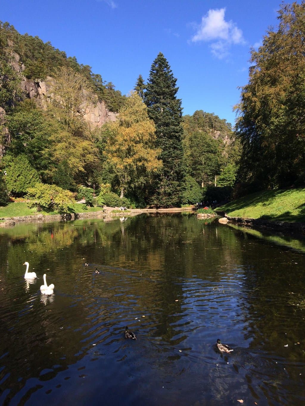 Ravnedalen park lake