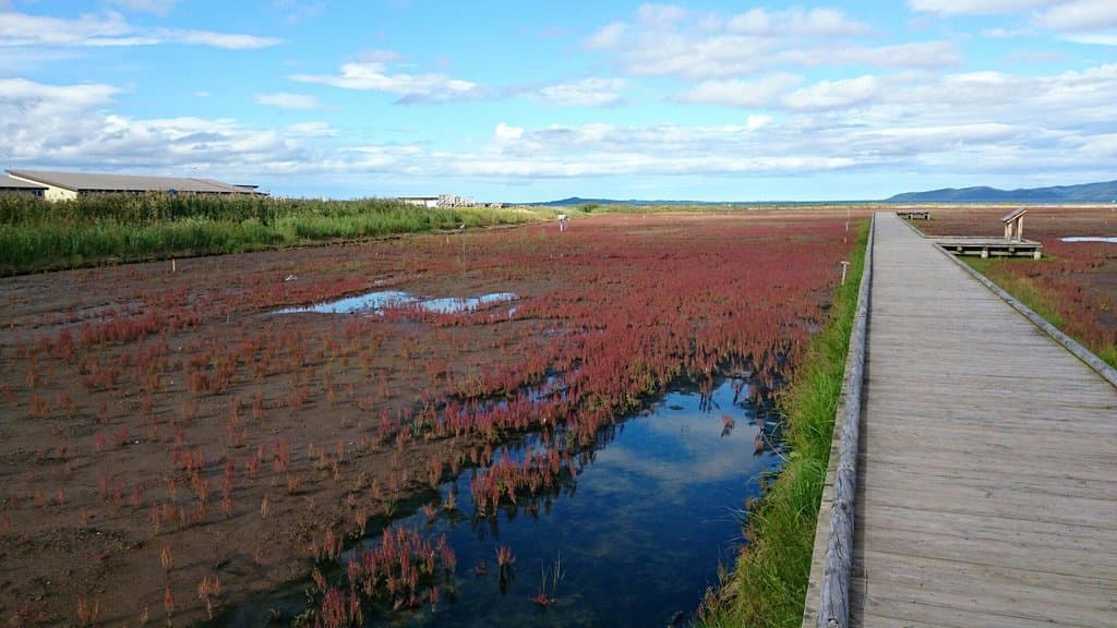 何時間➡半時間の誤りです
すみません！