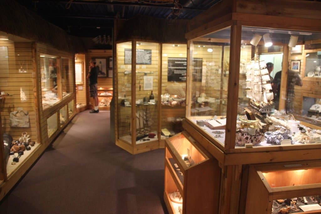 DiscoverSea Shipwreck Museum