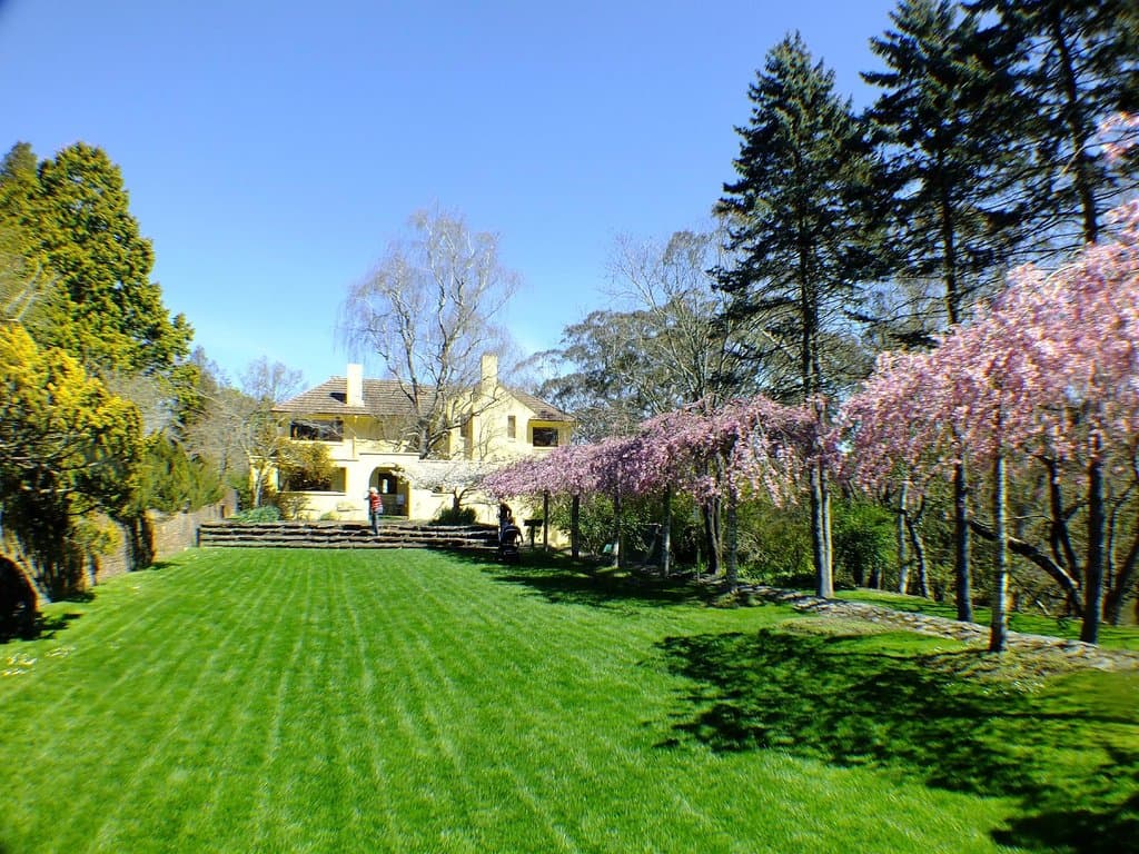 Cherry bloosom terrace
