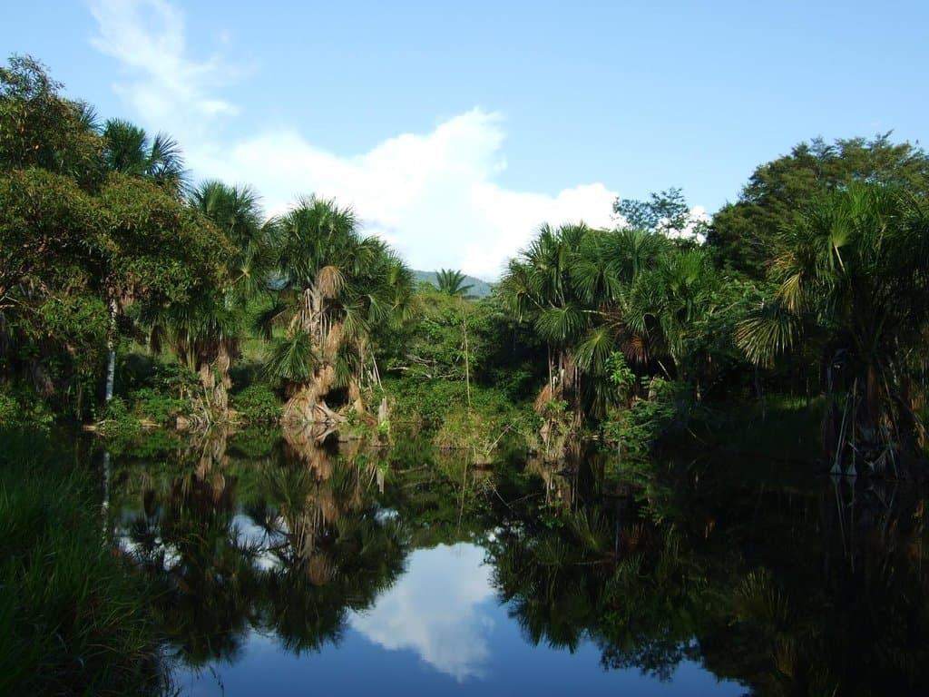 Tambo Ilusion's precious fresh water lagoon - Tarapoto - Peru
