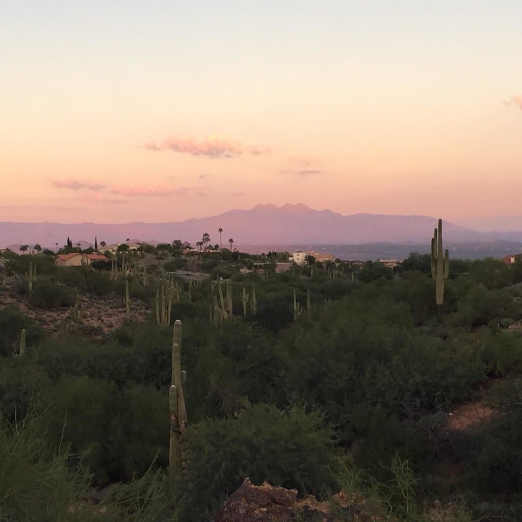 Fountain Hills Botanical Garden