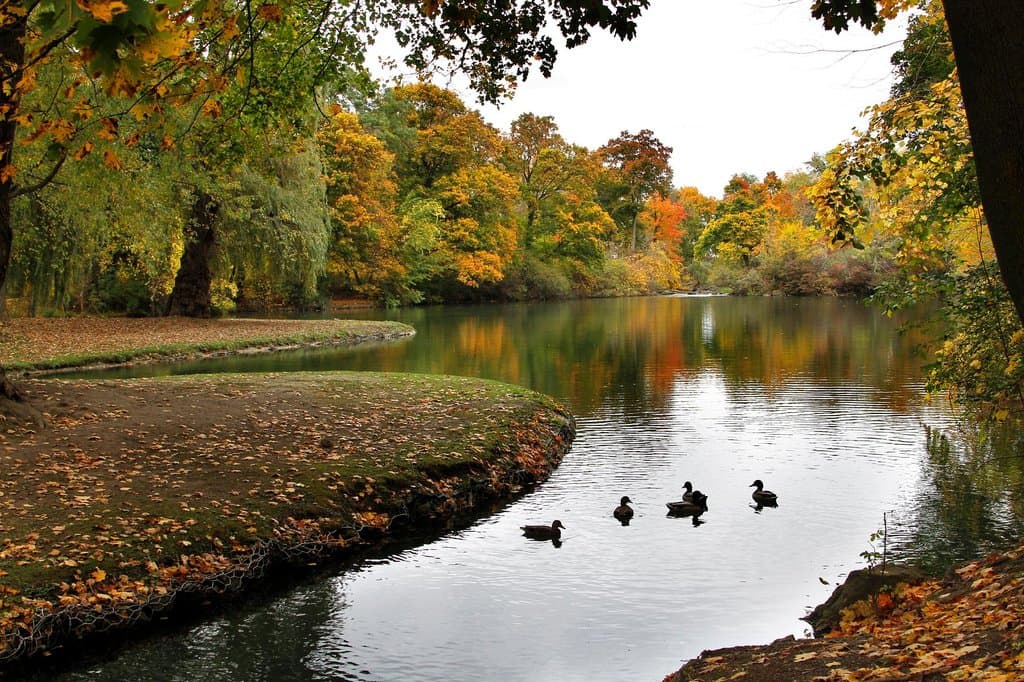 The fall colours at Dufferin Park