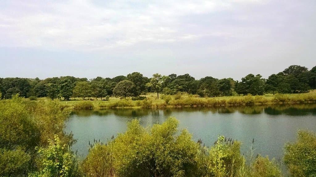 another view of large pond - stocked for fishing