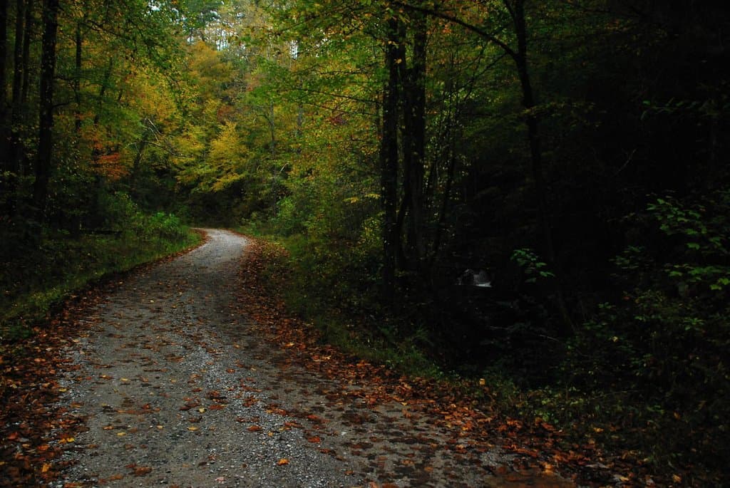 Main access roads are well maintained, but limited access.