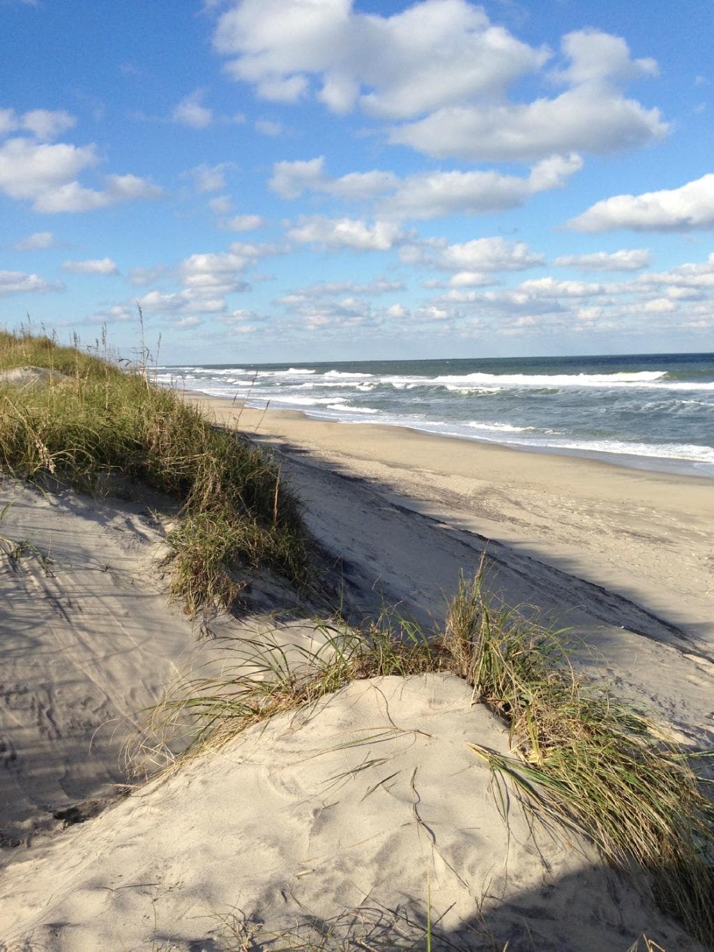 Dunes on Pea Island.