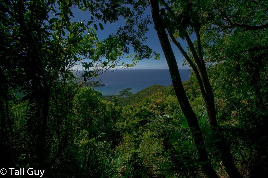 View from Boedeaux Mountain Trail near top