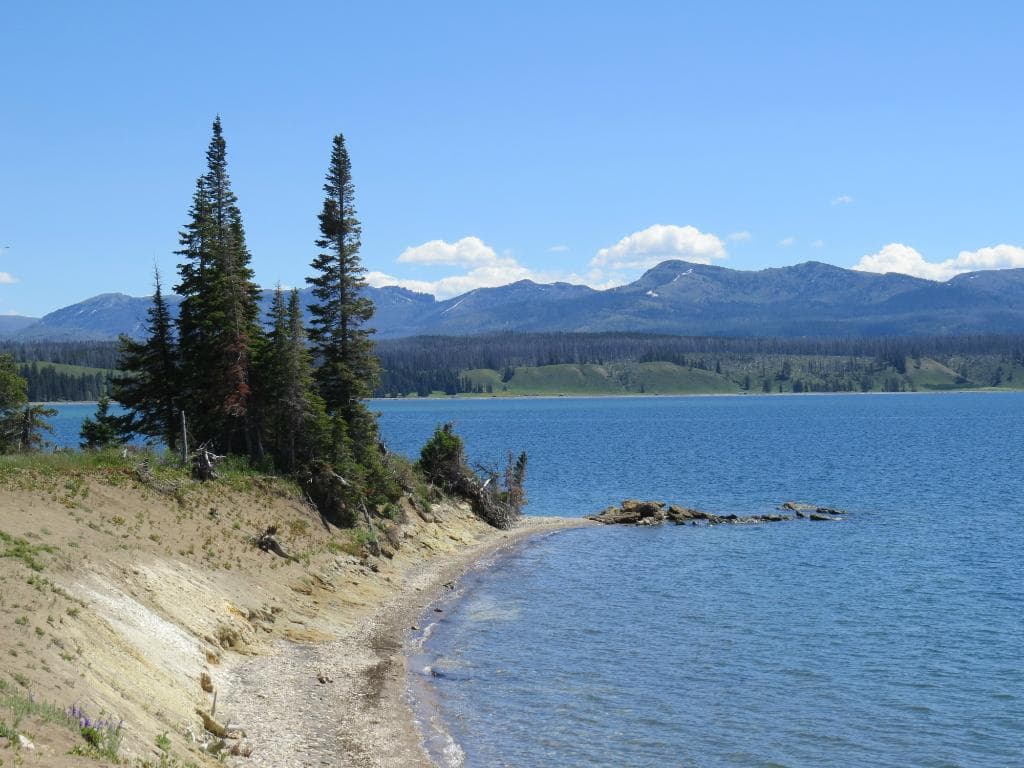 View along the shore near Storm Point