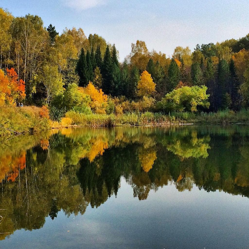 Озеро в Ботаническом саду