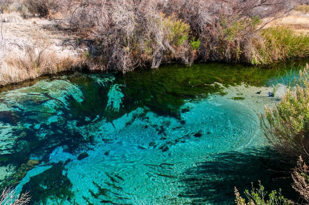 Beautiful Travertine Pool